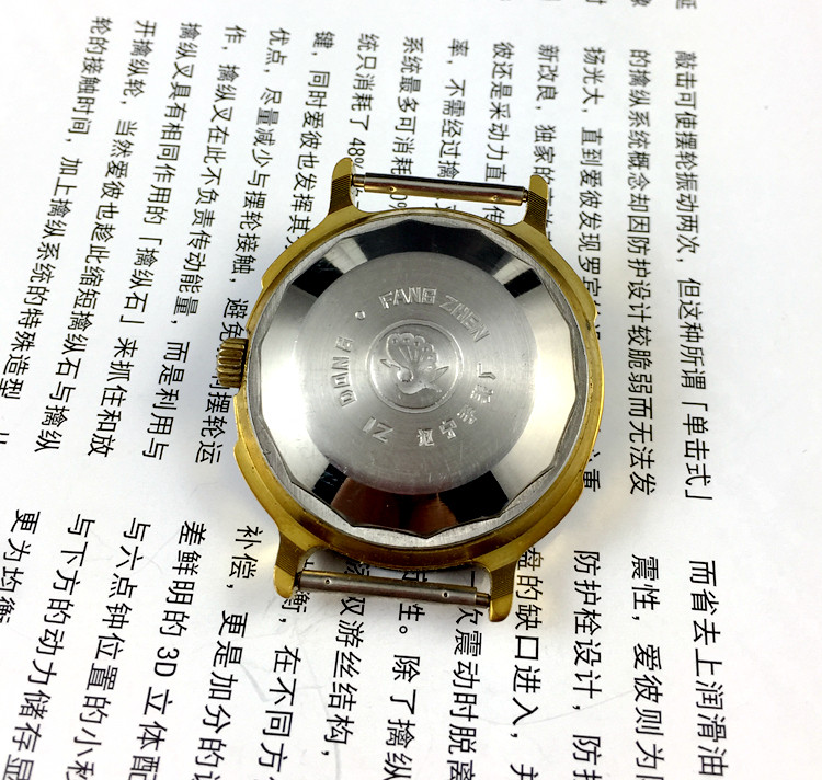 [Sklep Guangguang] Liaoning Wa – Jewelry For Watches recenzja i cena
